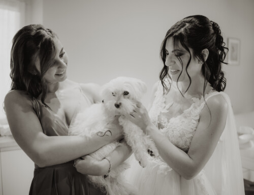 Il TUO Cane al Matrimonio: Un Amico Fedelissimo per un Giorno Indimenticabile